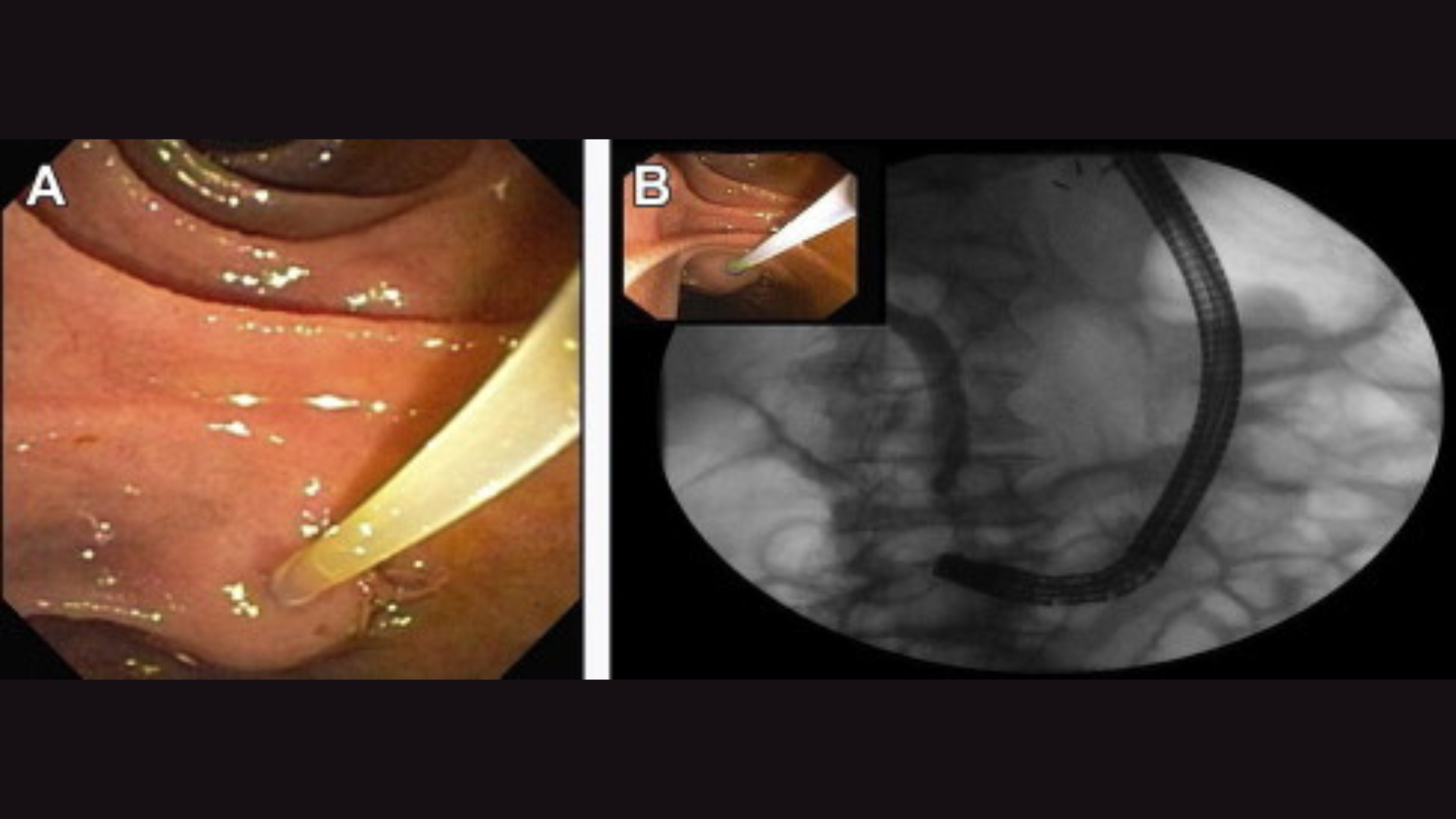 Physiotherapy & Rehabilitation